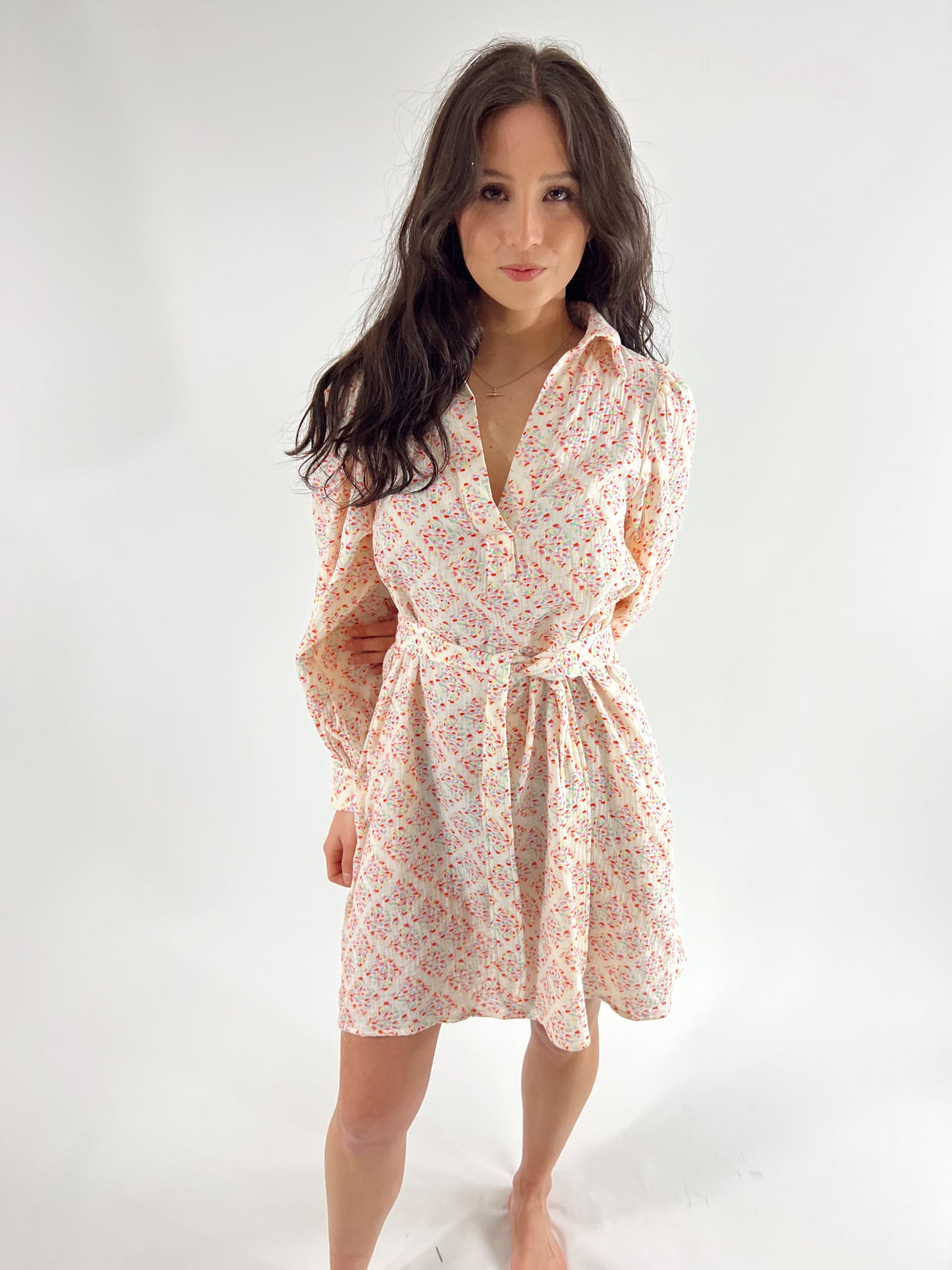 Danika Woven Dress